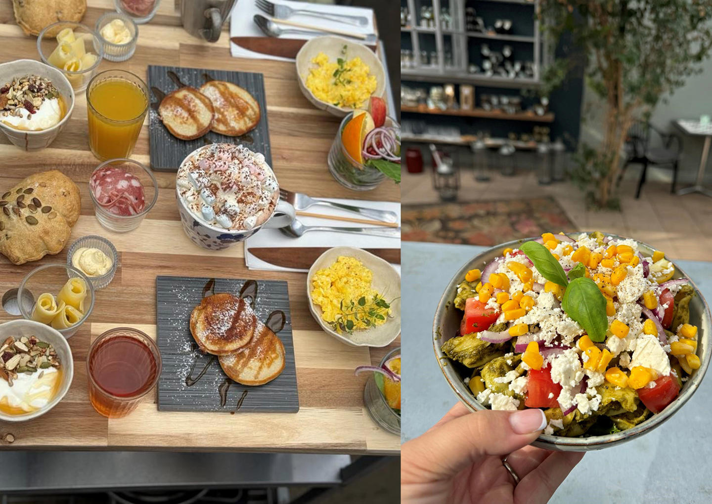 Wasabi Orangeri brunch