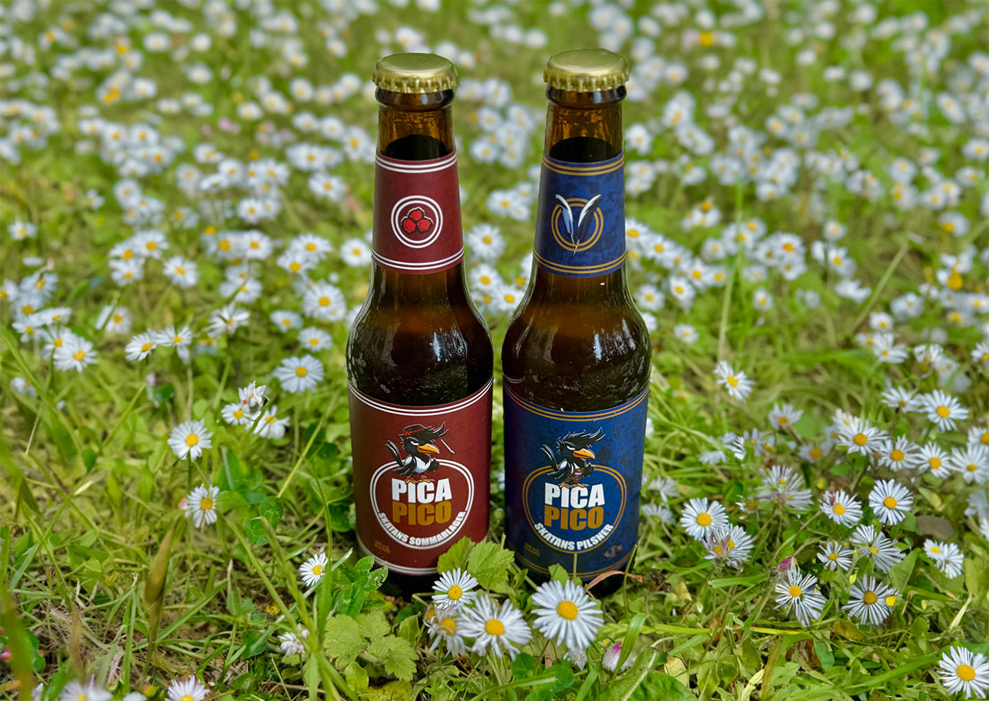 Bryggerivisning & ölprovning på Pica Pico