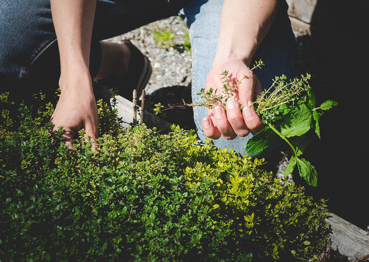 Norrtälje Bränneri Guidad tur