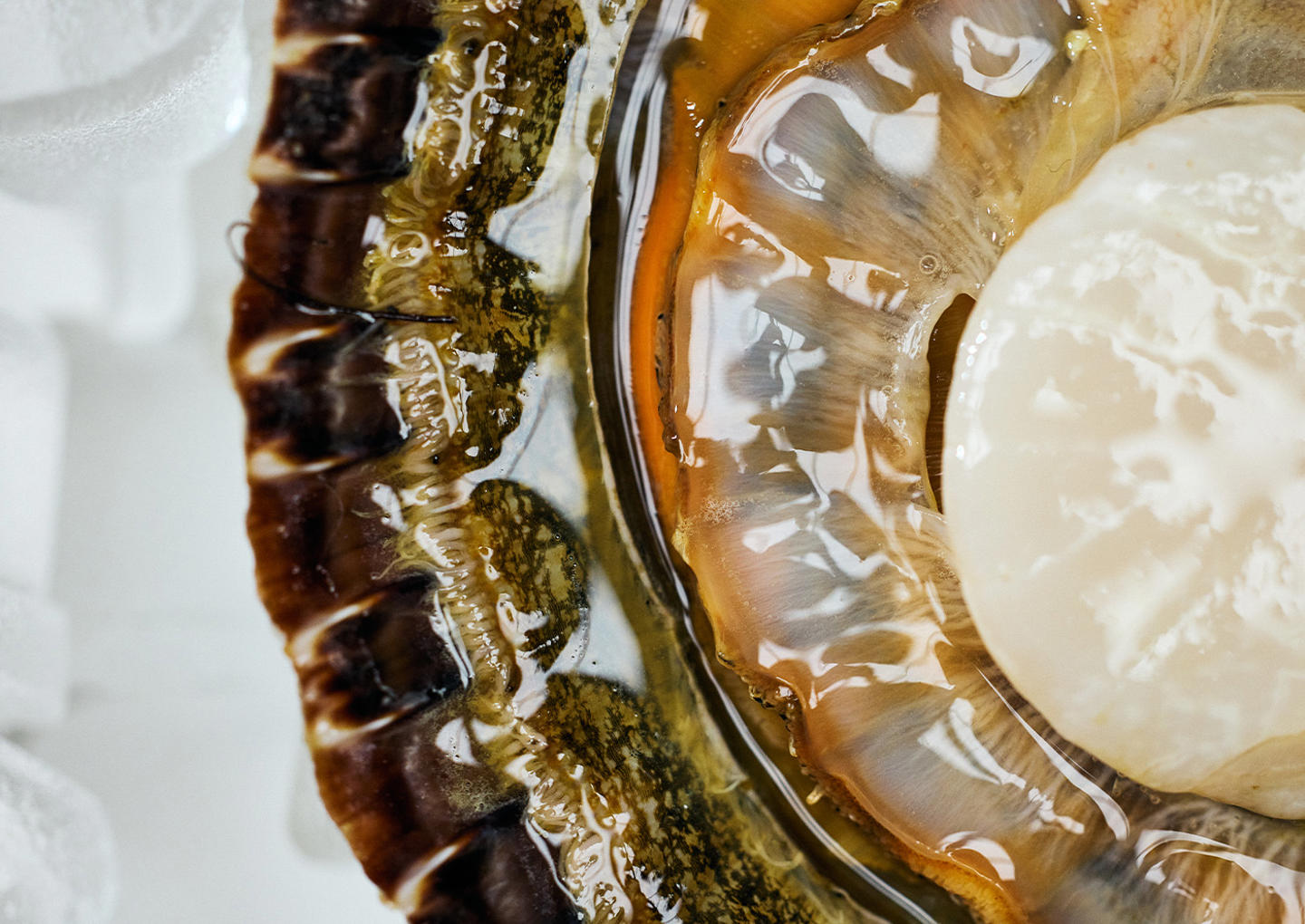 Mathias Dahlgren: Seafood Gastro