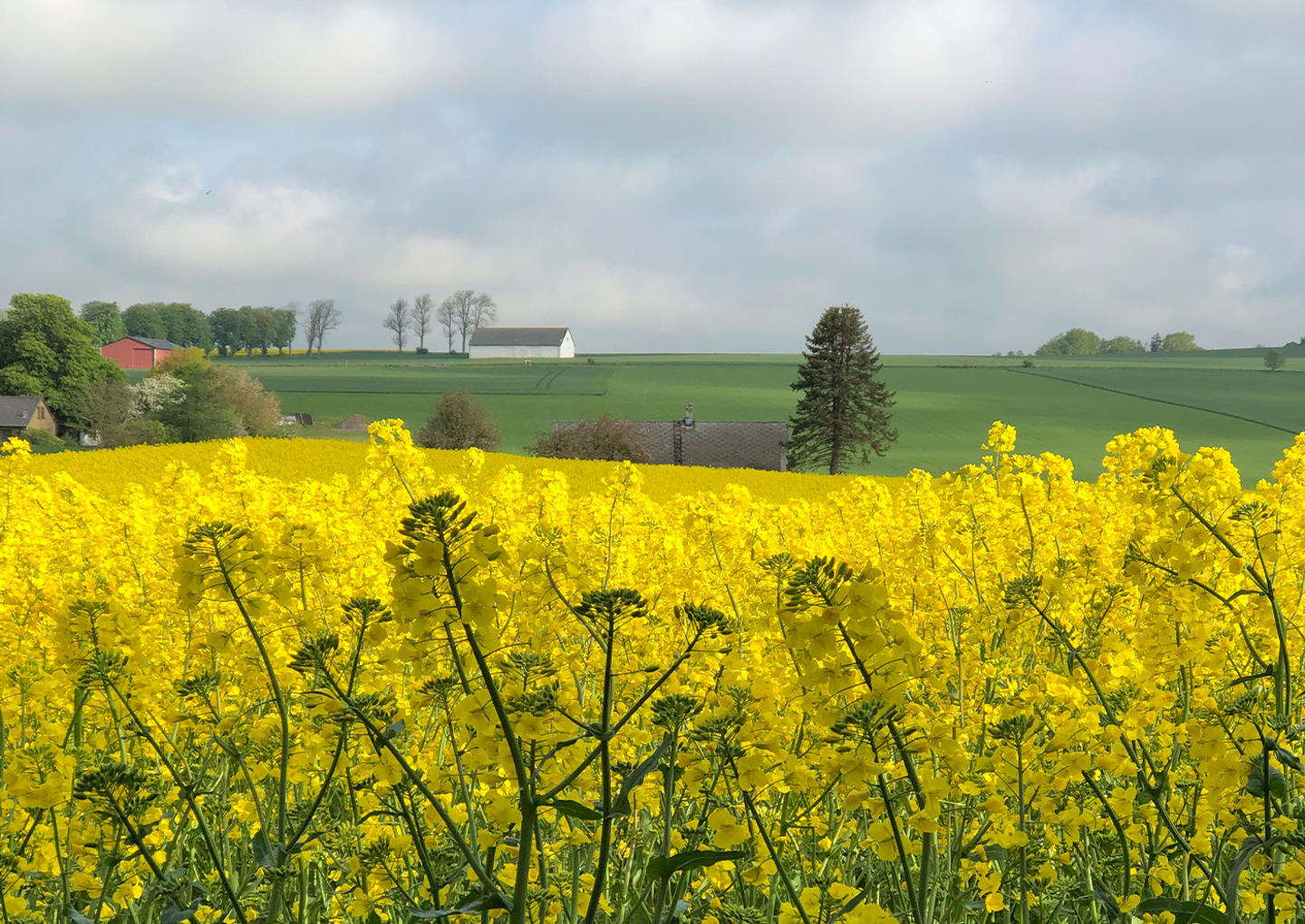 Vandringsweekend Österlen två nätter