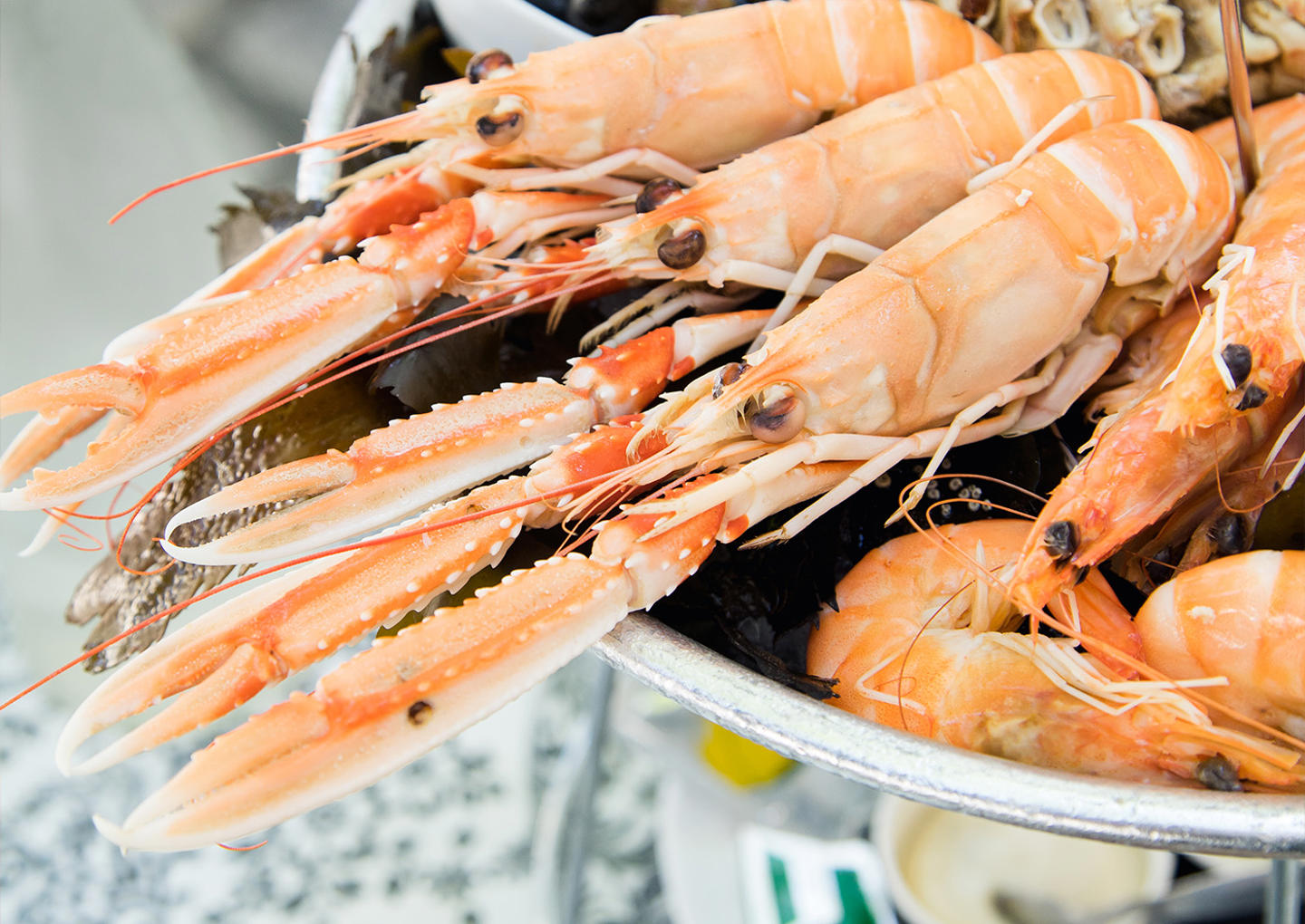 Skaldjursprovning för två