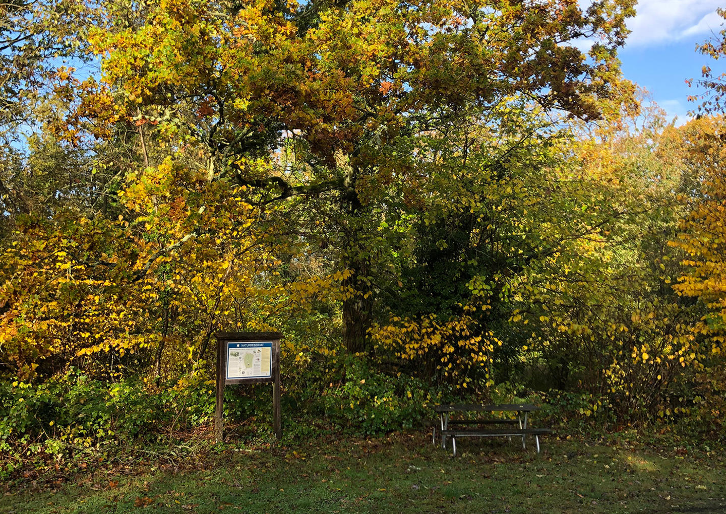Vandringsweekend Österlen två nätter