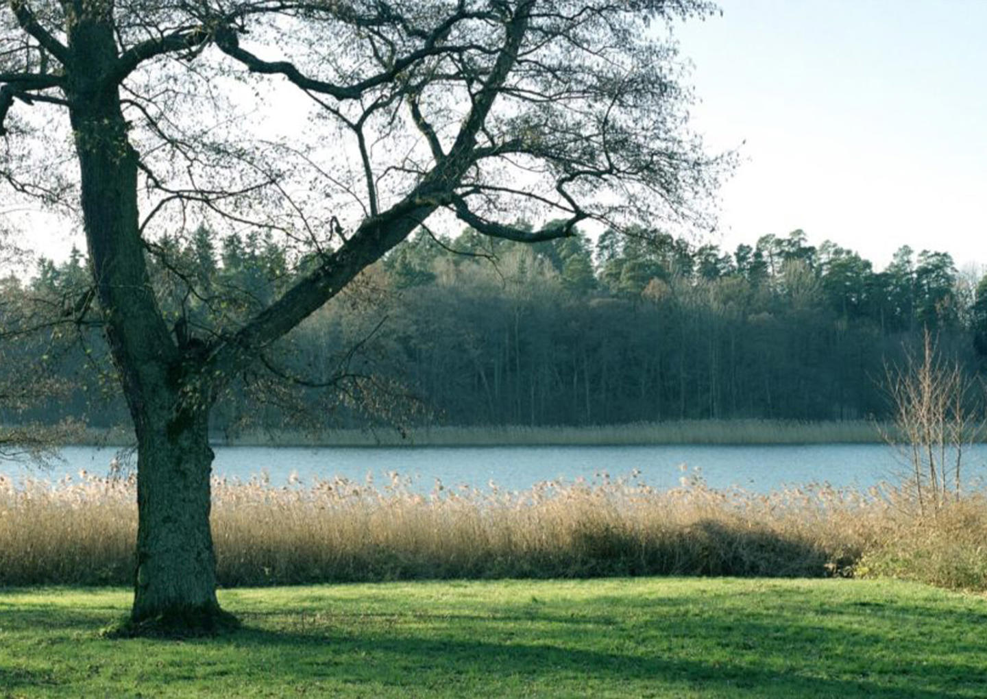 näsby slott trädgård