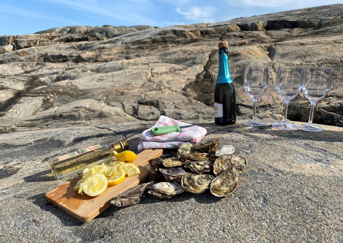 Ostronsafari för två