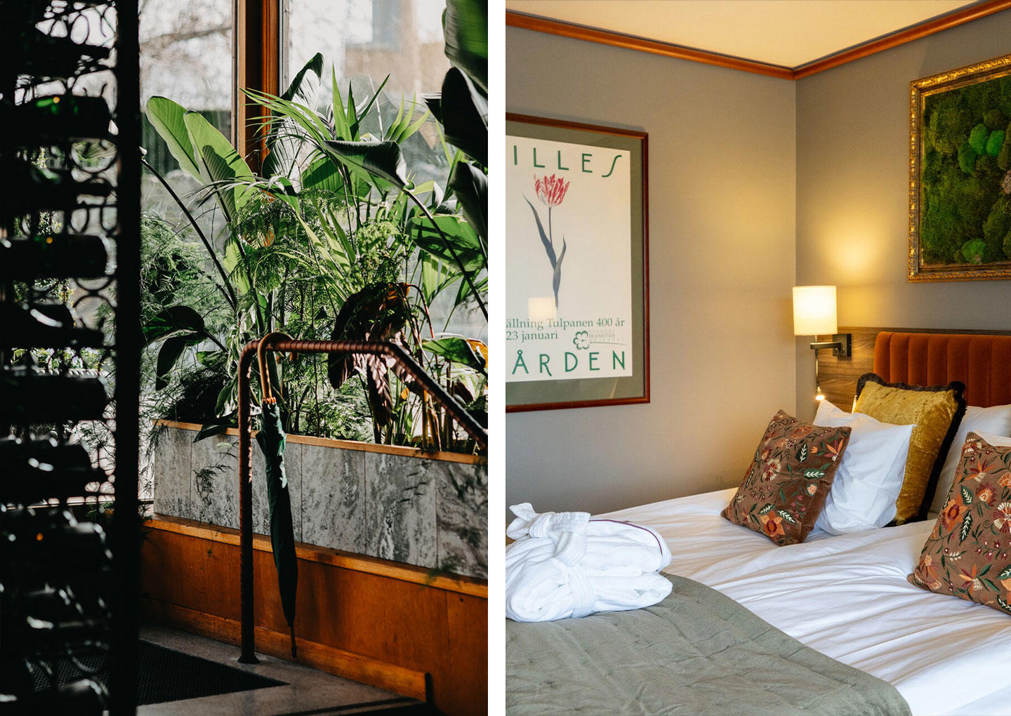 Övernattning Villa Foresta