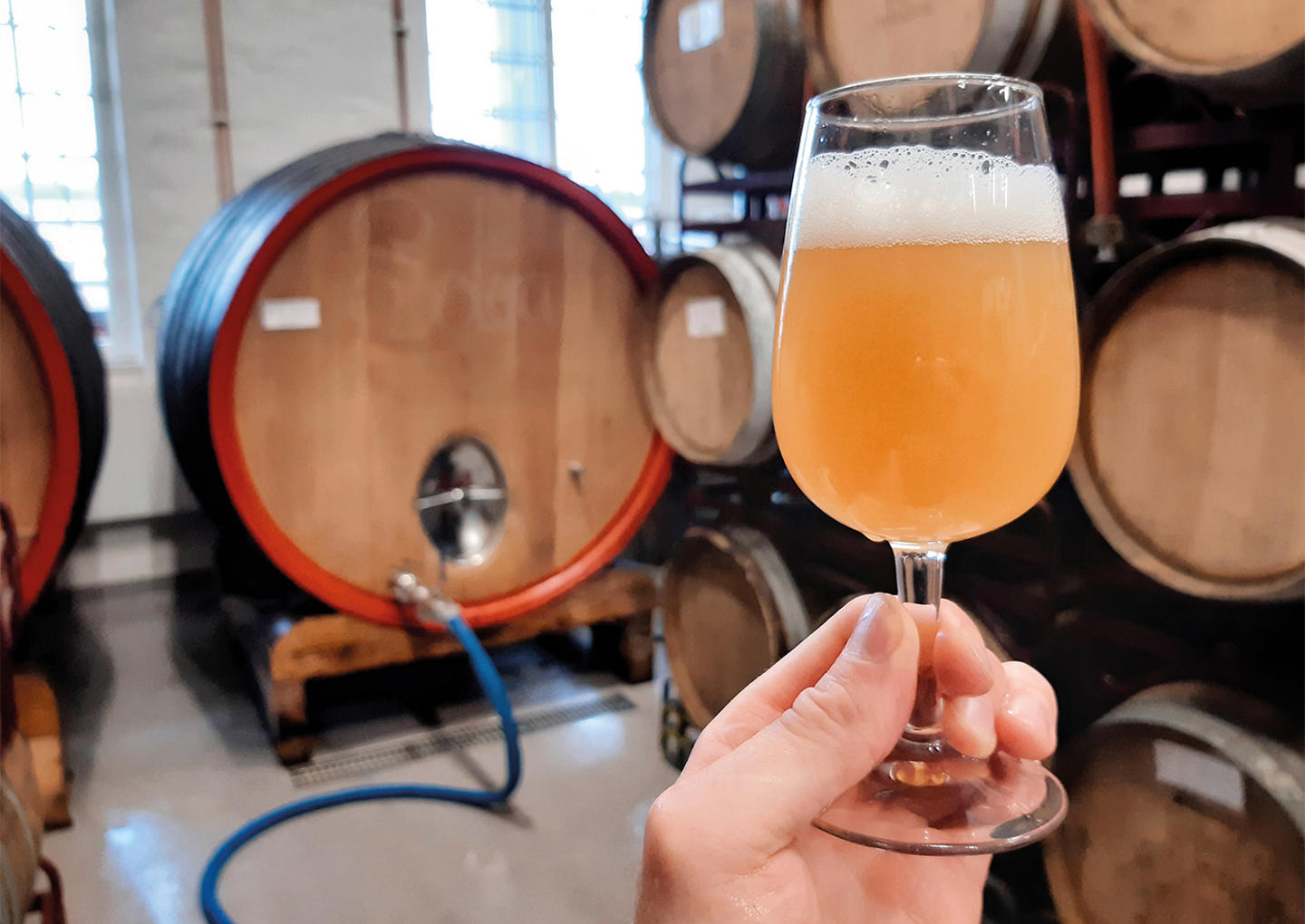 Bryggerivisning & Provning Stockholm Brewing Co.