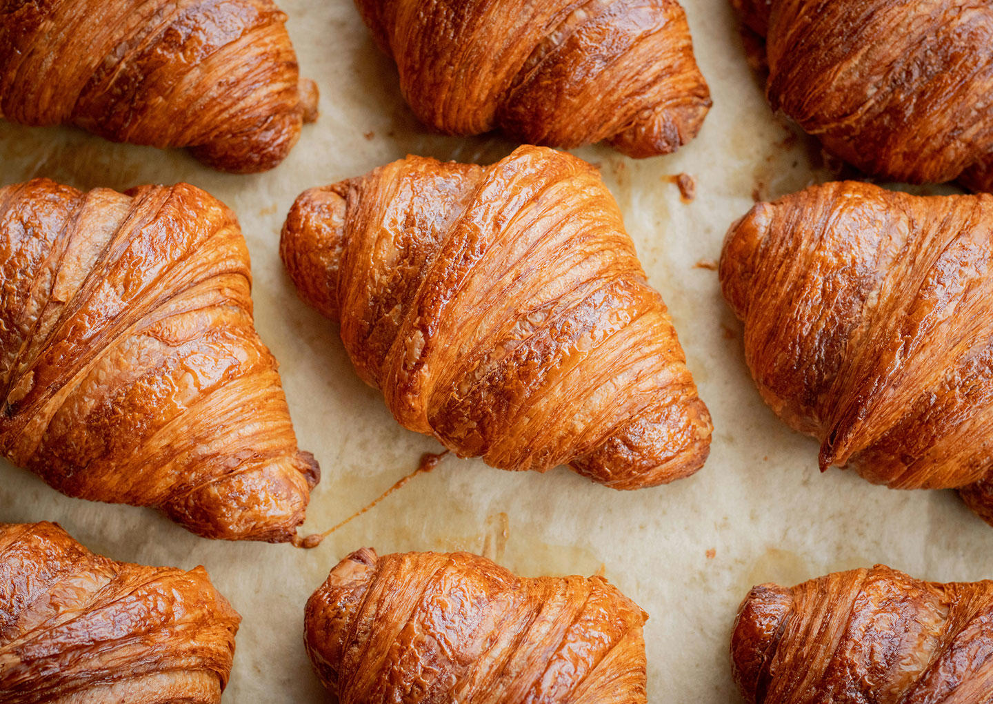 Brunch Zebeda Chocolate