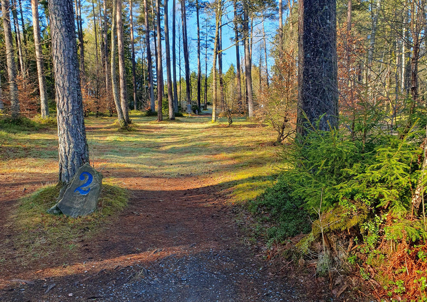Discgolf för två
