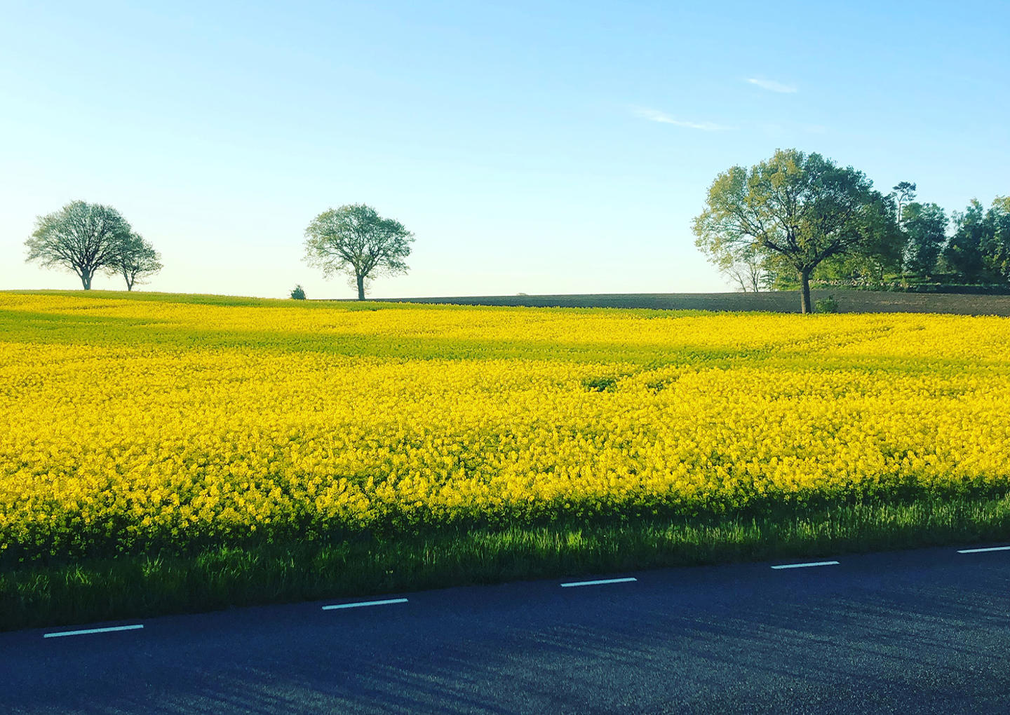 Vandringsweekend Österlen två nätter
