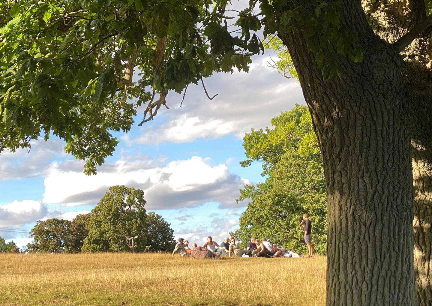 Gourmetdressin för två