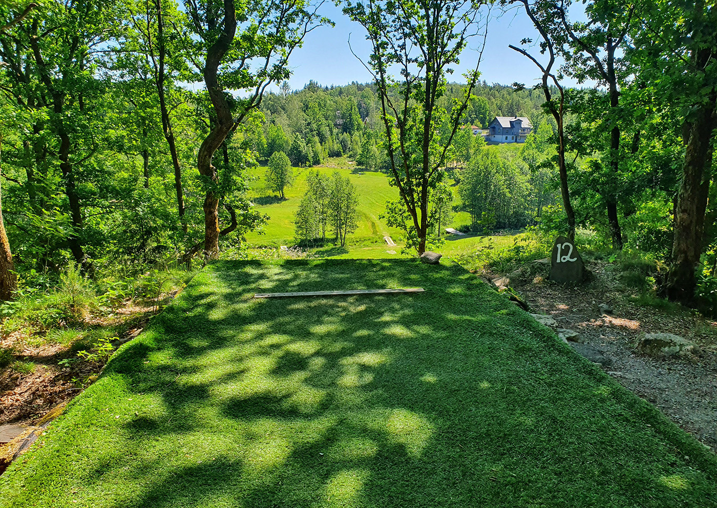 Discgolf