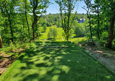 Discgolf