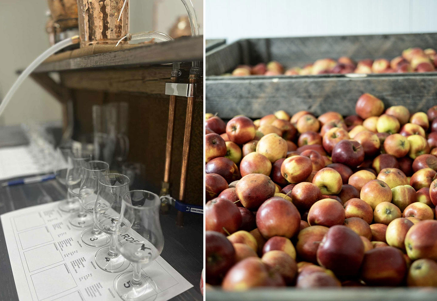 Smakgården Dryckesprovning