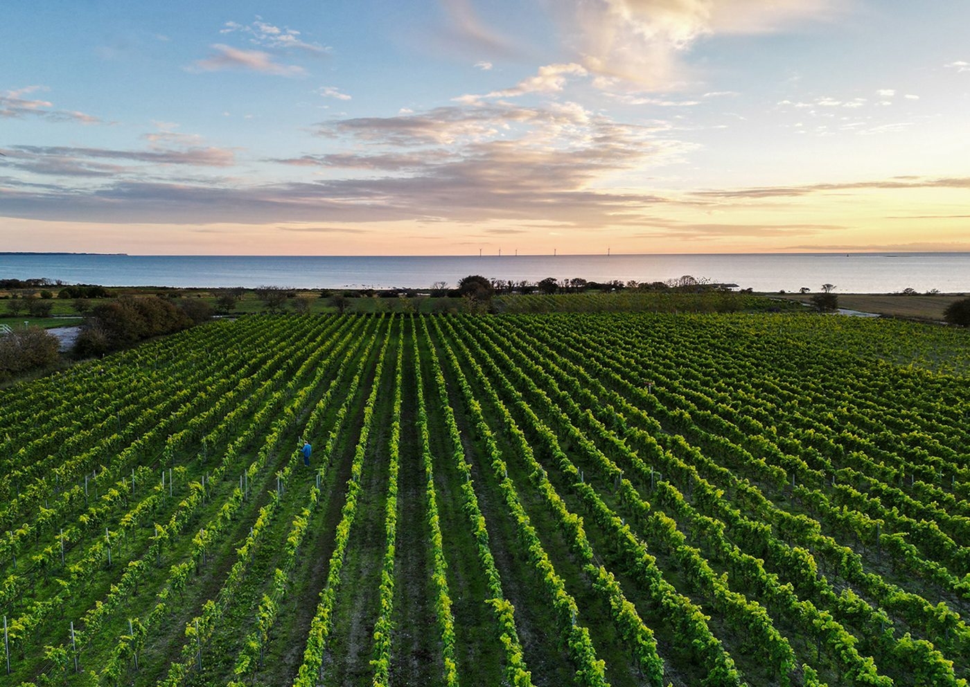 Gute Vingård Weekend