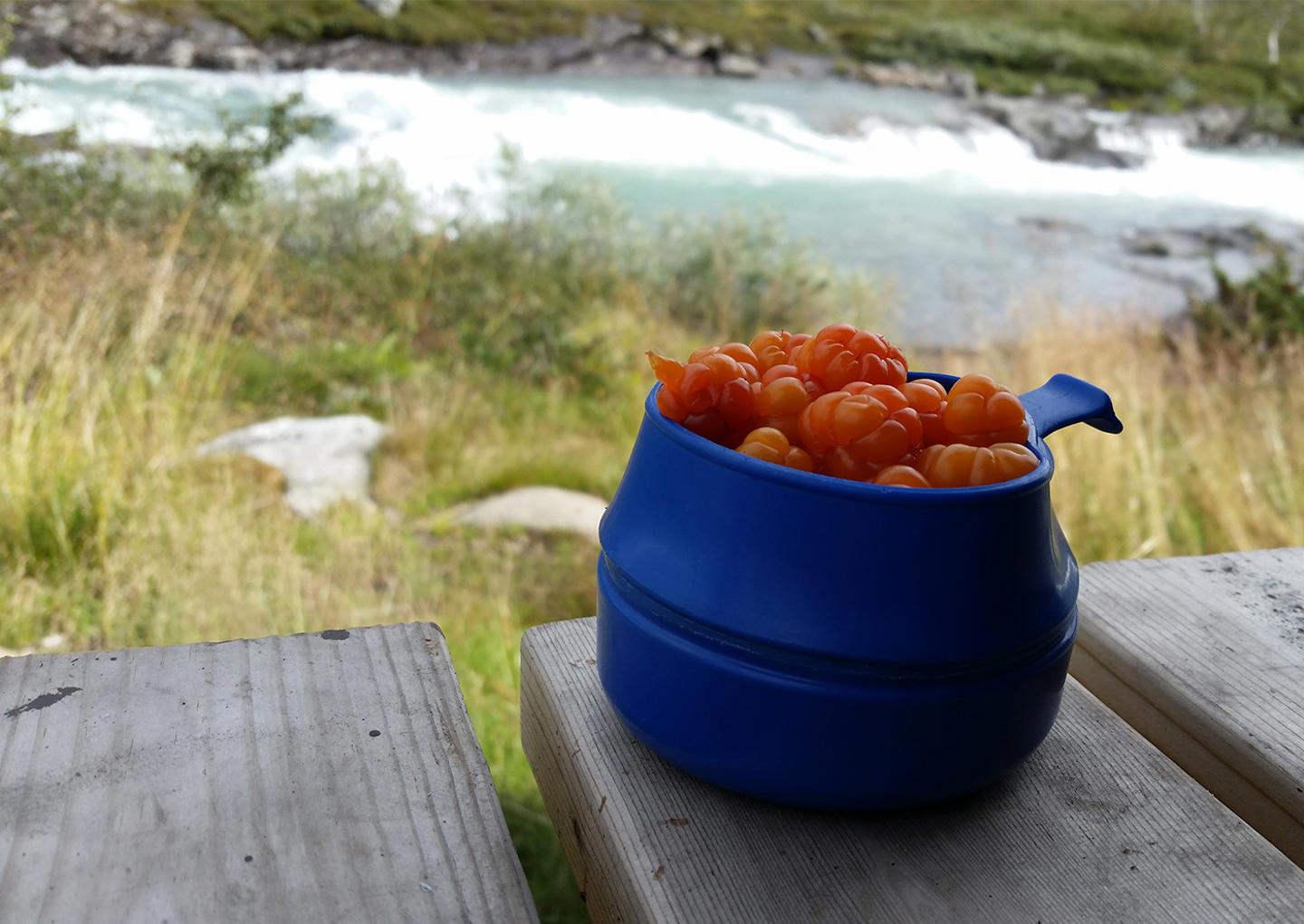 Tälttur i vildmarken för två
