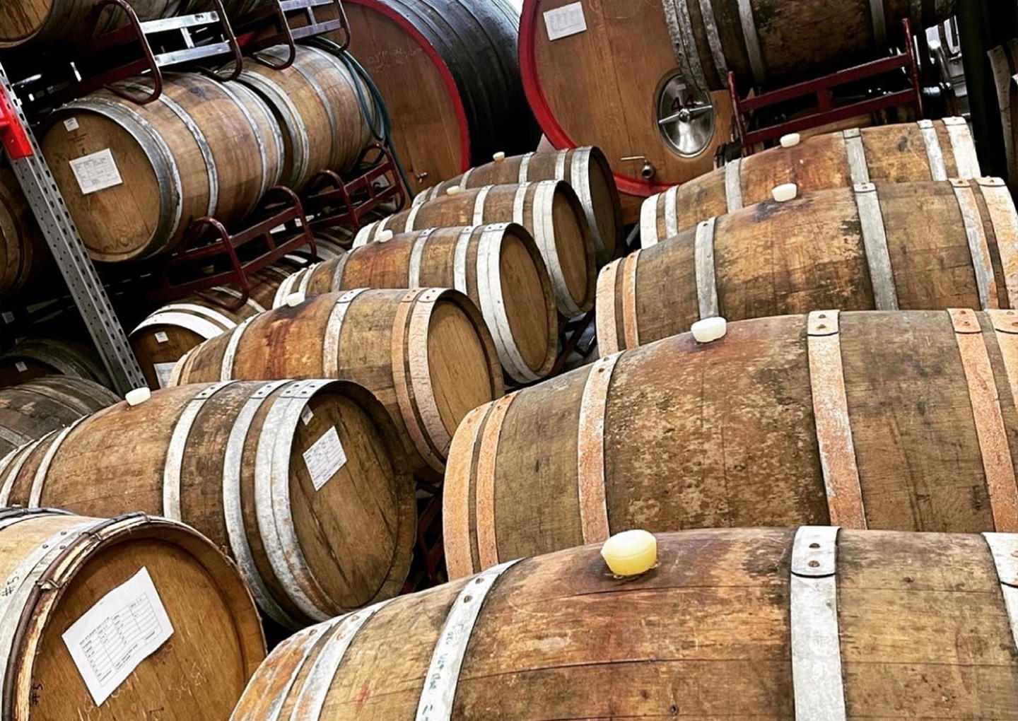 Bryggerivisning & Provning Stockholm Brewing Co.