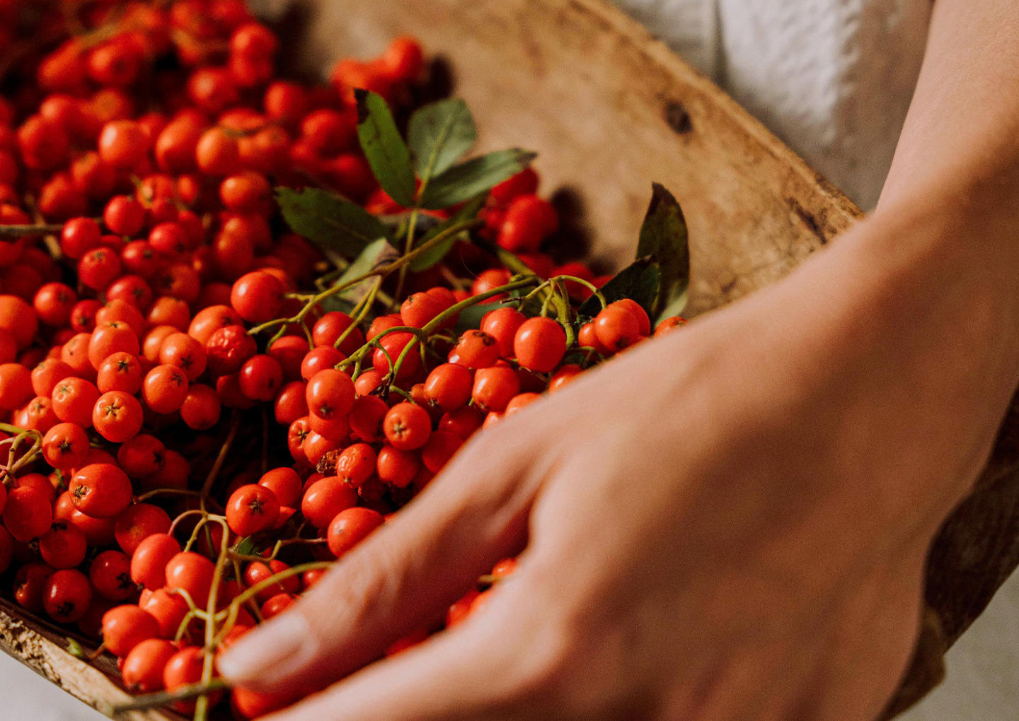 Norrtälje Bränneri Guidad tur för två
