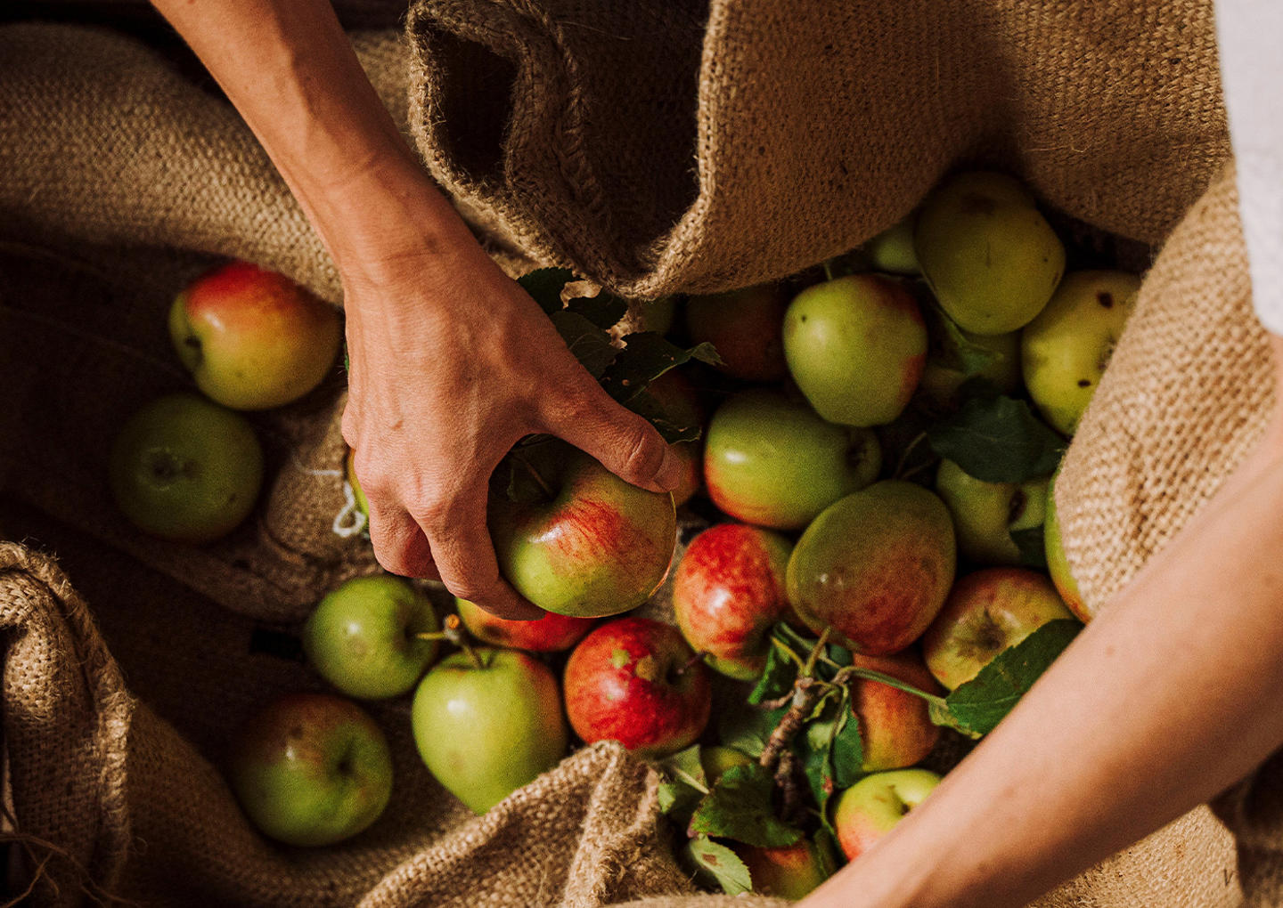 Norrtälje Bränneri Guidad tur