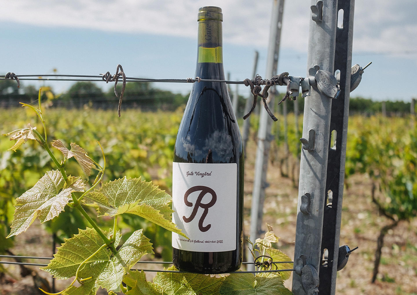 Gute Vingård Visning & provning för två