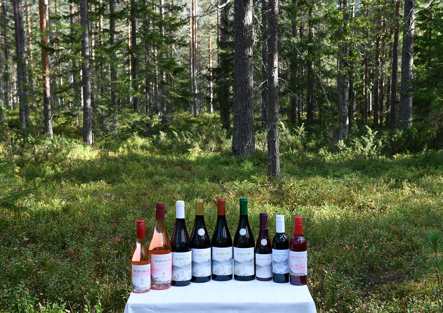 Vinprovning Nordiska smaker