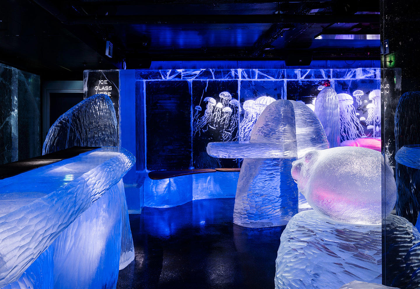 ICEBAR & Middag för två