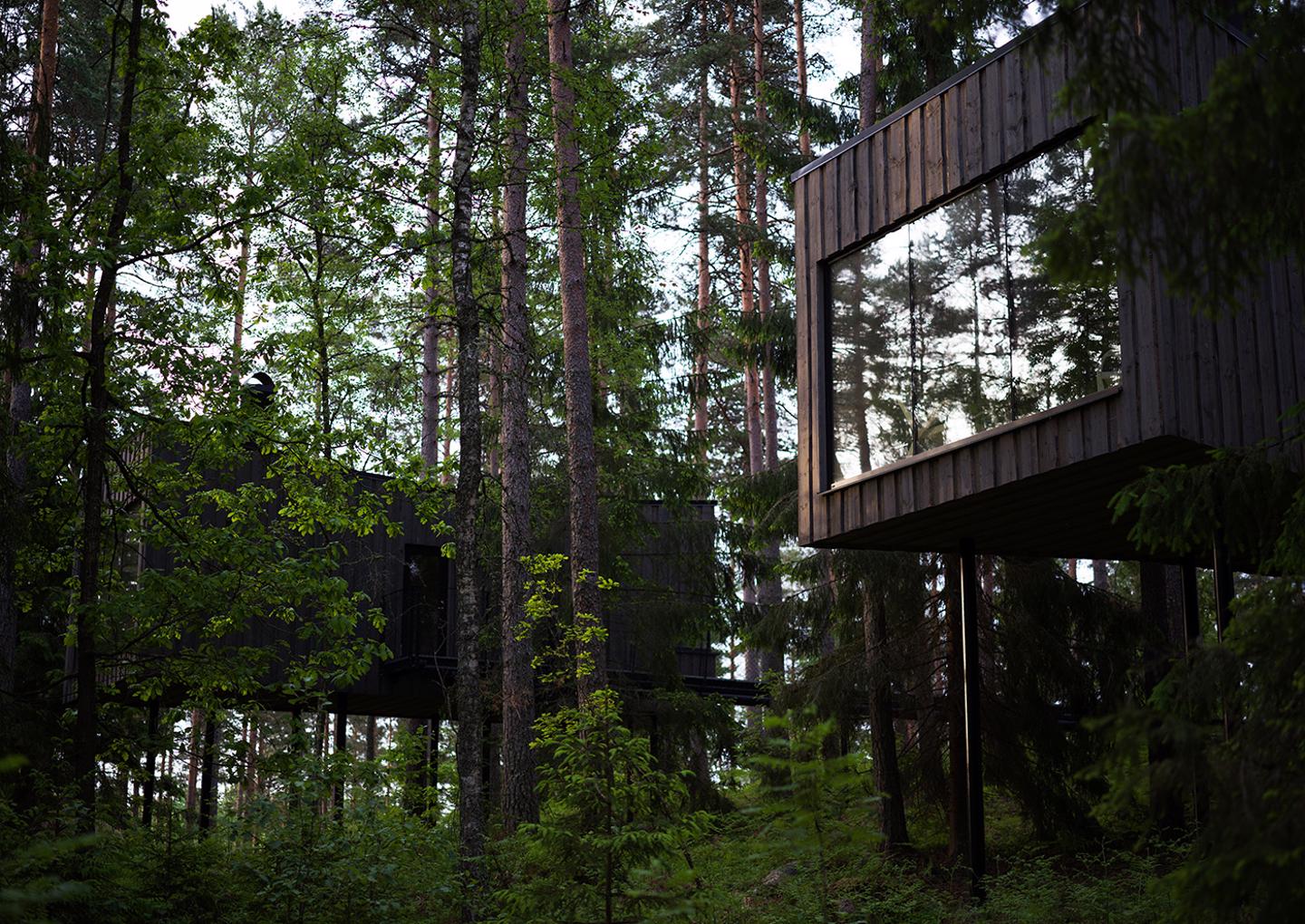 trakt forest hotell