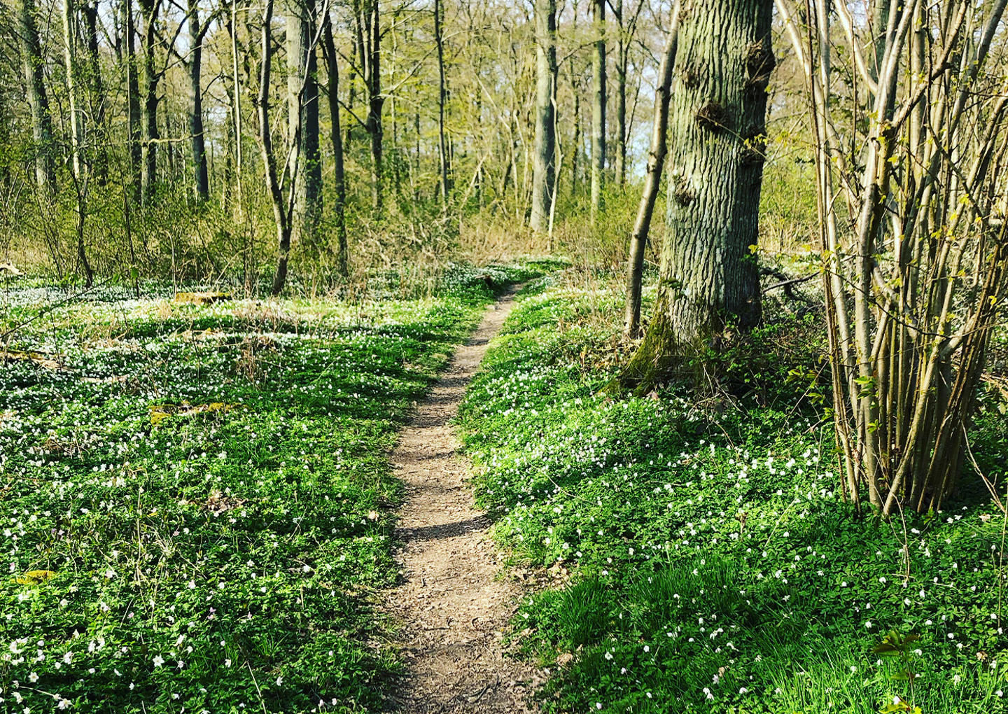Vandringsweekend Österlen två nätter