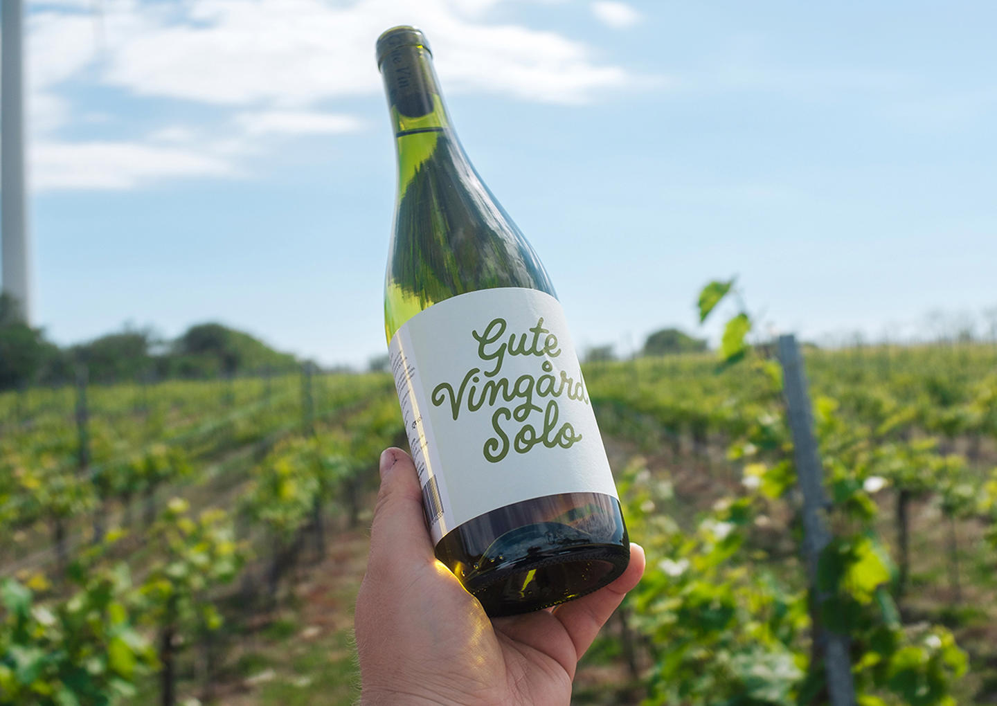 Gute Vingård Visning & Provning